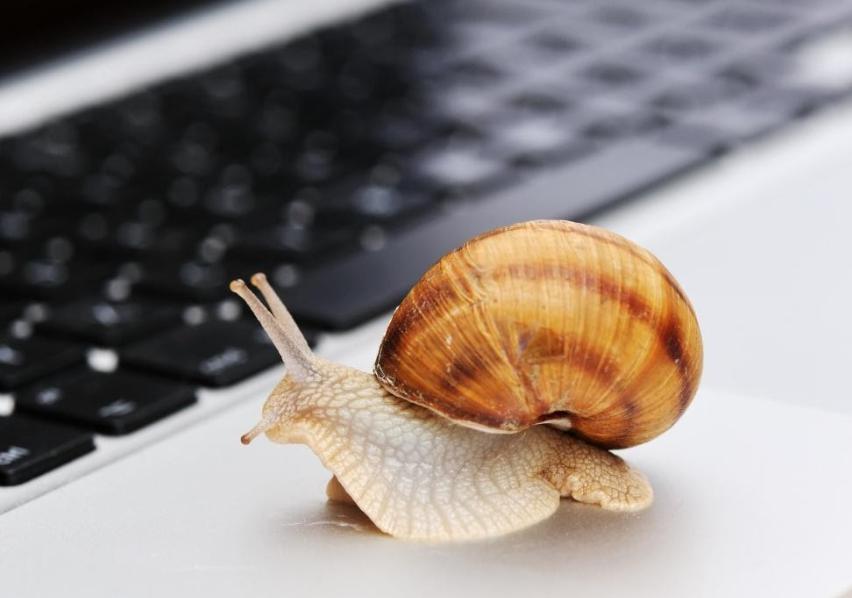 肥东县张集乡:精准助企出实招 纾困解难见真效