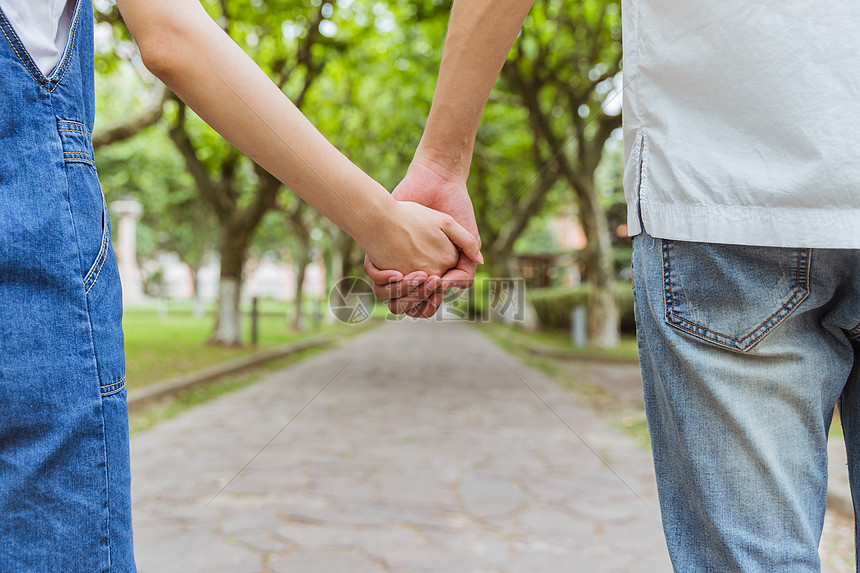 关税休战与盈利前景提升,印度散户创纪录490亿卢比支撑市场