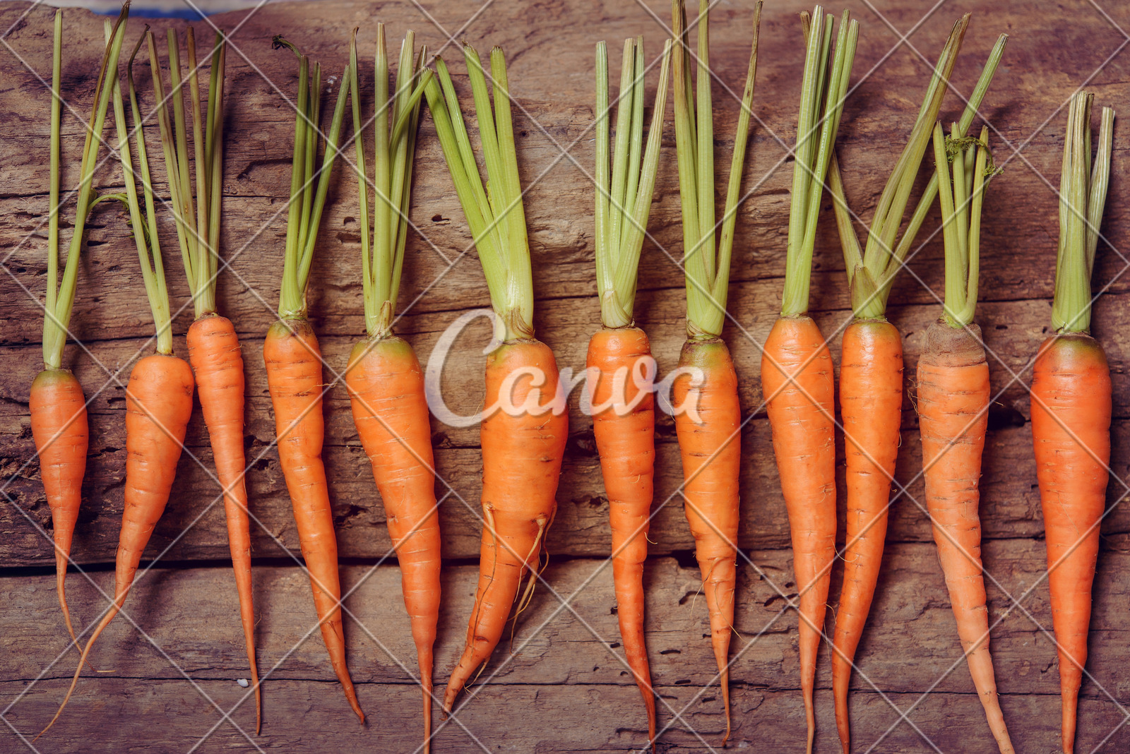 美银策略师Hartnett:若杰克逊霍尔放鸽,美股或出现“买预期卖事实”行情